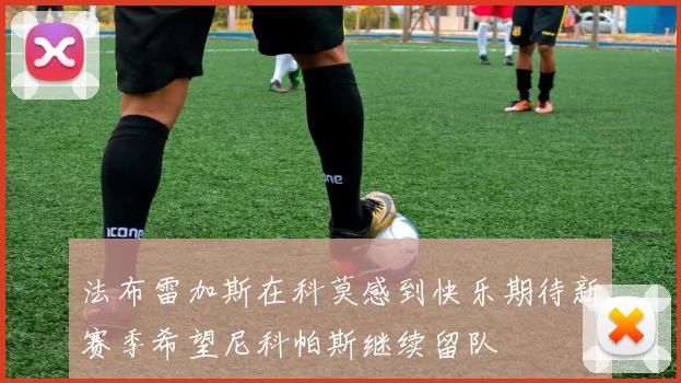 法布雷加斯在科莫感到快乐期待新赛季希望尼科帕斯继续留队